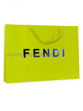 Фирменный пакет Fendi прямоугольный